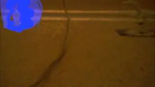 inchworm animation-mewtwo vs bone raptor (BETTER LIGHT)