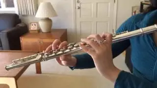 How Far I'll Go - Moana [flute cover]