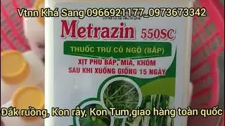 Thuốc trừ cỏ phun phủ tr&ecirc;n c&acirc;y Kh&oacute;m (dứa)./Vtnn Kh&aacute; Sang