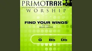 Find Your Wings (Medium Key: Bb, without Backing Vocals - Performance Backing Track)