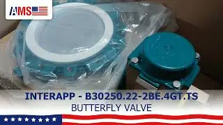 INTERAPP B30250.22-2BE.4GT.TS BUTTERFLY VALVE