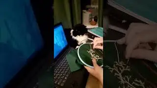 Вечерний вышивальный ASMR: нитки шуршат по ткани, Ведьмак убивает чудовищ 🧵🗡️