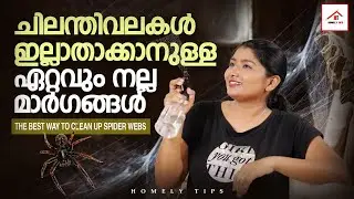 The Best Way To Clean Up Spider Webs | The Best Way To Clean Up Spider Webs