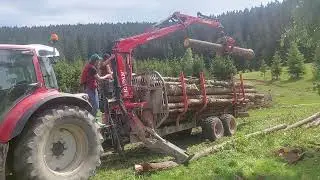 Learning The Forest Crane Skills