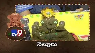 Use clay Ganesha to save environment - Nellore - TV9