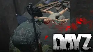 Cheater (?) hit me through wall from 400m far - DAYZ Livonia