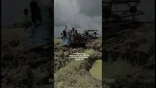 story. #shortvideo #shorts #youtubeshorts #yanmar #story  #combine