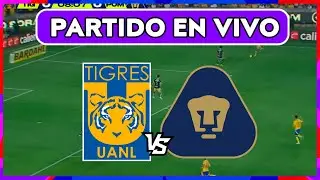 🔴 TIGRES VS PUMAS EN VIVO ⚽ LIGA MX JORNADA 2 CLAUSURA 2026 🏆 ZONA FUT
