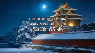 1HR Forbidden City Snowy Night: Guqin｜Deep Sleep Aid/Calm/Chinese Aesthetic故宮雪夜：古琴｜深度助眠/中式美學/傳統音樂