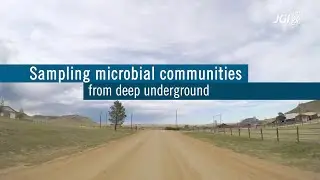 Sampling microbial communities from deep underground