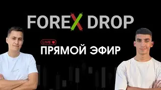 ИТОГИ ПРОЕКТА 