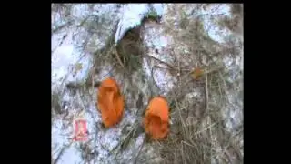 подборка ДТП ноябрь 2013. Selection of an accident in November 2013