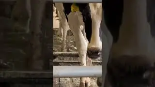 What is the purpose of a footbath?