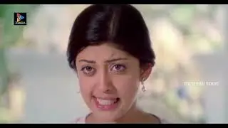 Pranitha & Tanish Beautiful Love Scene || Telugu Movie Scenes || TFC Telugu Videos
