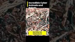 incredible cyber animals and robots P-1 #Top #most #amazing #coolestbadboi #robots #terminator #1k