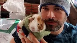Guinea Pig Boy Bonding Rules