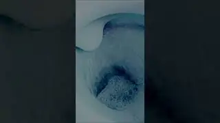 Ambient home noise - Toilet cleaning water sound #13 #Shorts