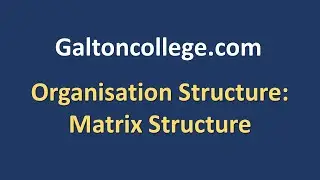 Estructura de la organizaci&oacute;n: Estructura matricial
