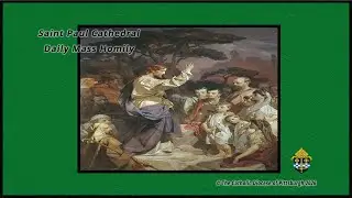 Saint Paul Cathedral-Daily Mass Homily-Rev. Daniel Walsh-January 13, 2026.