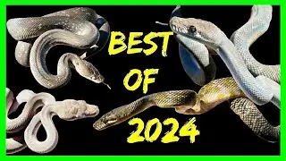 HOW DID WE DO? | 2024 HOLDBACKS