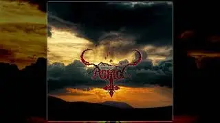 Askio-6 way split
