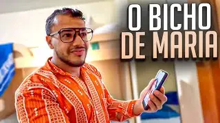 DIDINHO VIU O BICHO DE MARIA | FALA FINA