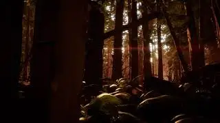 Video Game Ambience Asmr - (Life is Strange 2) Forest Sunset | Relaxing Nature Sounds