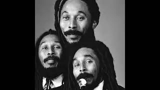 Dub Reggae: The Ultimate Collection Vol. 56