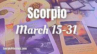 Scorpio| &ldquo; The Miracle &ldquo; Spiritual & Material Abundance,Messages from Beyond,Over coming a problem