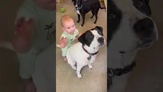 Meatball hugging Lyla, so cute!