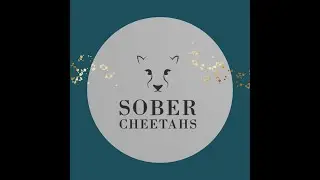 Discussing the sober curious movement, without judgment, thanks to the ladies of Sober Cheetahs