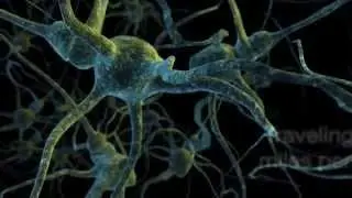 100 Billion Neurons Spot
