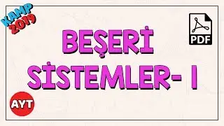 Beşeri Sistemler 1: Nüfus Politikaları Şehirler | AYT Coğrafya