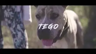 a6300 + sigma 30mm1.4 short film Tego