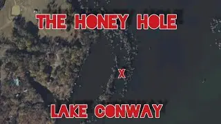 I Found The HONEY HOLE On Lake Conway It Was Loaded
