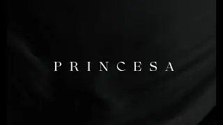 Fondo Flamenco - Princesa 2022 (VideoLyric)