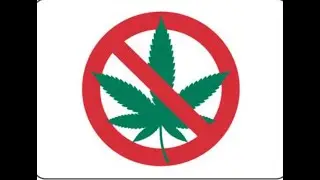 Why I'm Quitting Weed.