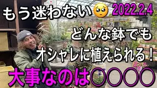 【寄せ植え】どんな鉢でも迷わず植えられる♪大事なのはフォルムだった！
