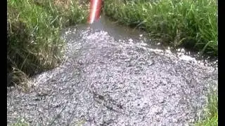 Marsden Mk 4 Sludge Pump. Environmental dredging