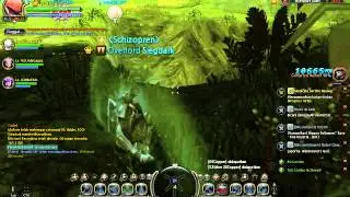 DN INA MERCENARY BUG