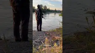 #welsangeln #flussangeln #angeln #angelleben #wels #angler #fischer #angelabenteuer #fishinglife