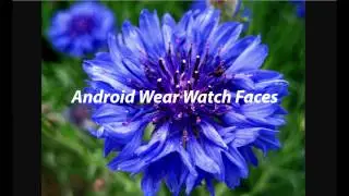 Best 5 Android Wear Watch Faces (Women Moto 360 2)