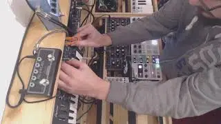Jam session with Model D, Tip Top 909 Kick/clap and Microbrute