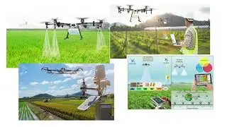 Sustainable Cultivation and Plantation