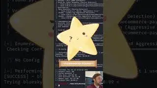 I hacked this WordPress website in minutes #shorts