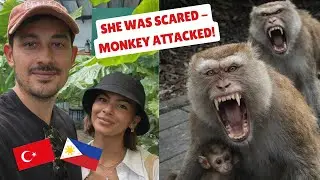 Monkey Attacked Him! Old Town Phuket & Temples Thailand 🇹🇭😱 2022