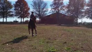 Allison practice at avalon- Fall 2016