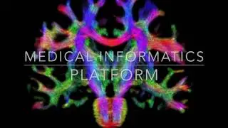 The HBP Medical Informatics Platform