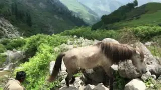 Beas Kund Trek - Nature lovers paradise