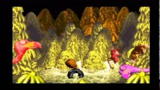 Donkey Kong Country (GBA): Necky's Revenge